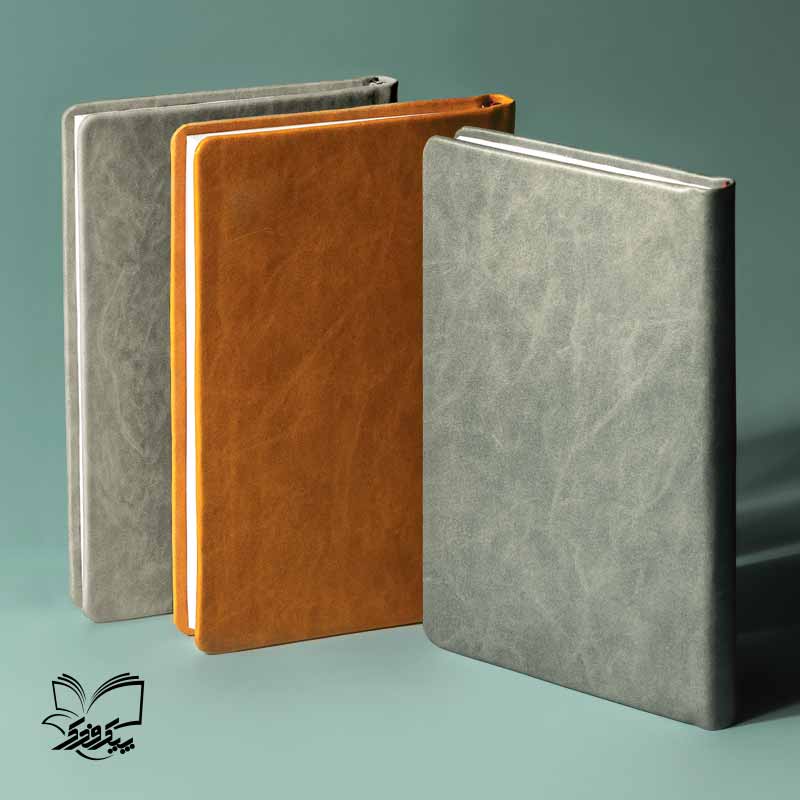 سررسید ترمو دنیز